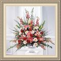 Accent Floral, 2 Providence Pl, Albany, NY 12202, (518)_935-2268